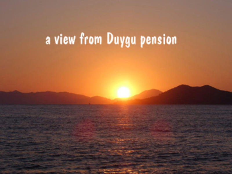 Duygu Pension  0