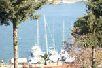 Photos of Duygu Pension