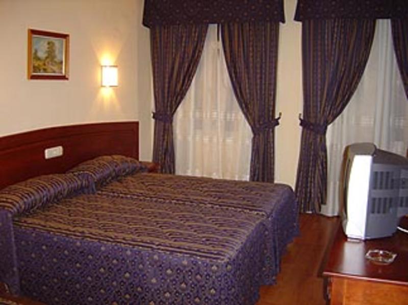 Hotel Castilla Guerrero  0