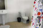 Graffiti - Image 8