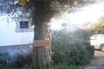 Photos of Quinta São Miguel de Arcos