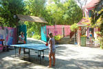 Dolphins Beach House - Image 10