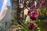 Feetup Samay Hostel Sevilla - Image 6