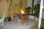 The Mango Tree - Image 3