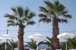 Leonidas Hotel - Image 2