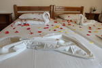 Leonidas Hotel - Image 7