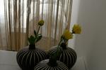 Hostal El Cid - Image 2