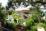 Captain's club - Image 5