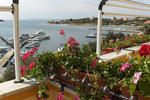 Captain's club - Image 6