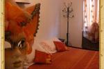 B&B San Paolo - Image 9