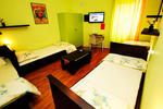CroParadise Green Hostel - Image 5