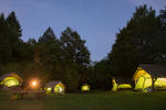 Eco Camp Adrenaline-Check
