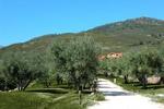 La Sayuela B&B
