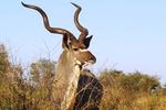 Kruger View Lodge for Backpackers - Image 7