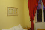 Photos of Wow Roma