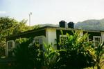 Spring Garden Guesthouse - Image 1
