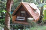 HI Holandes - Image 2