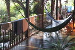 HI Holandes - Image 7