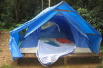 HI Holandes - Image 9