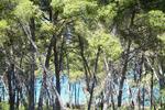 Photos of Villa Mateja