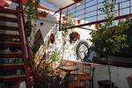 Hostelito Inn - Image 5