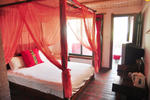 4 Eyes Backpackers Youth Hostel - Image 5