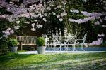 Photos of Le Jardin d'Alix