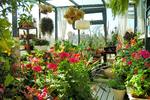 Peking International Youth Hostel - Image 2