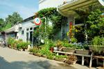 Peking International Youth Hostel - Image 4