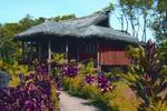 Uprising Beach Resort - Image 9