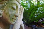 Samurai Beach Bungalows - Port Stephens YHA - Image 3