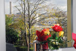 Gabriel House Guest House - Image 6
