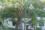 Suncampdr - Image 7