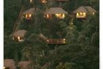 Nandini Bali Jungle Resort and Spa
