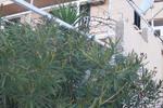 Anna Guesthouse
