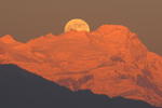 Superview - Image 7