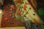 Calluna - Image 7