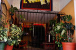 El Quijote - Image 6