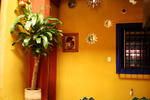 El Quijote - Image 7