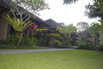 Nick's Homestay - Image 5