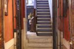 Photos of Hostal Zurbaran