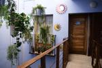 Photos of Hostal Zurbaran