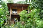 Photos of Hotel Raratonga