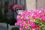 The Secret Garden Hostel - Image 10