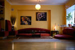 Euphoria - Image 6