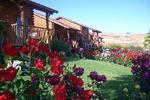 Ein Harod Country Lodge - Image 3