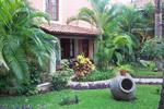 Hacienda San Miguel Suites - Image 5