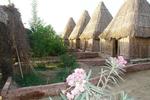 Sahara Camp