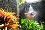 Puri Dajuma Cottages, Eco Beach Resort & Spa Bali - Image 3