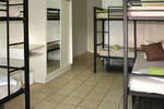 The Northern Greenhouse - Image 5